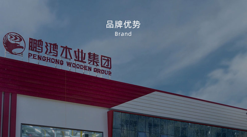 板材品牌、全屋定制品牌、生態(tài)板十大品牌
