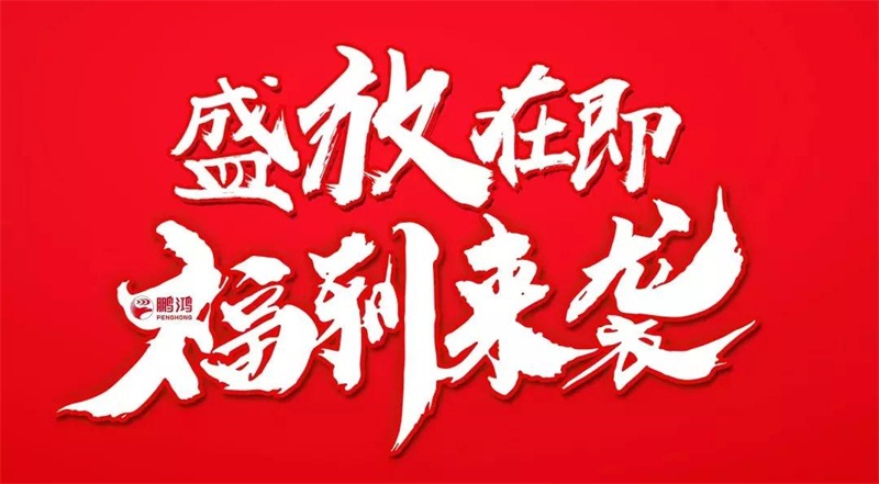 再拓疆域！鵬鴻We+定制&紅星美凱龍聯(lián)袂亮相烏魯木齊