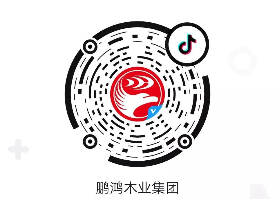 這廂有禮丨這個(gè)春節(jié)我最鴻，抖音相伴幸福年